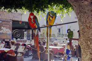 Rhodes Taverna, Old Town